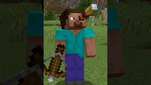 Remember these minecraft bugs? Remember these minecraft bugs?