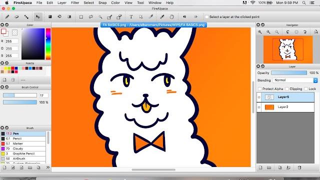 Firealpaca basics Firealpaca basics