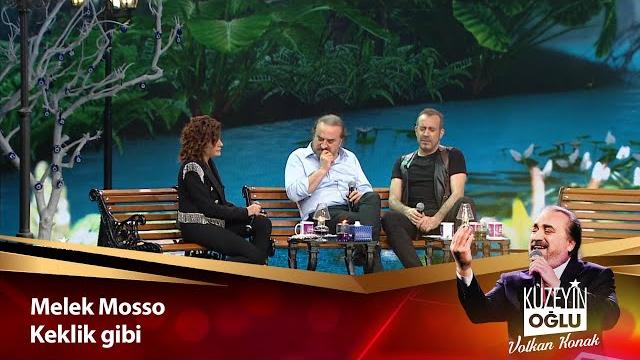 Melek mosso - keklik gibi Melek mosso - keklik gibi