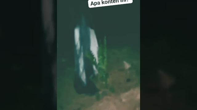 Melihat kuntilanak di kuburan asli atau hanya konten #shorts Melihat kuntilanak di kuburan asli atau hanya konten #shorts