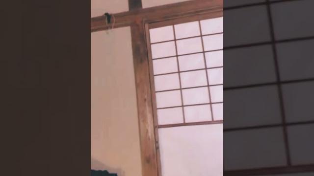 Hana haruna Hana haruna