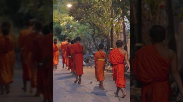Bokeo in the early morning #travel #laosvoyages #shortvideo #laostourism #traveldestinations Bokeo in the early morning #travel #laosvoyages #shortvideo #laostourism #traveldestinations