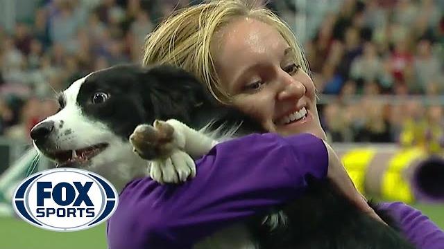 P!nk the border collie wins back-to-back titles at the 2019 wkc masters agility | fox sports P!nk the border collie wins back-to-back titles at the 2019 wkc masters agility | fox sports