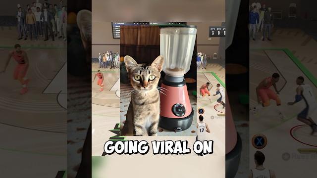 Infamous cat blender video explained Infamous cat blender video explained
