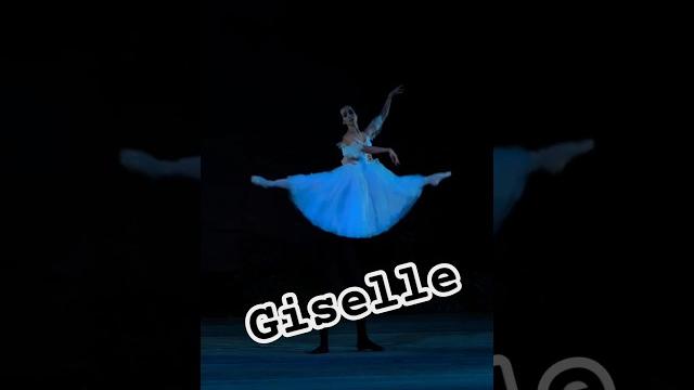 #dance #ballet #new #music #circus #dancer #arte #balletdancer #ballerina #world #piano #giselle #my #dance #ballet #new #music #circus #dancer #arte #balletdancer #ballerina #world #piano #giselle #my