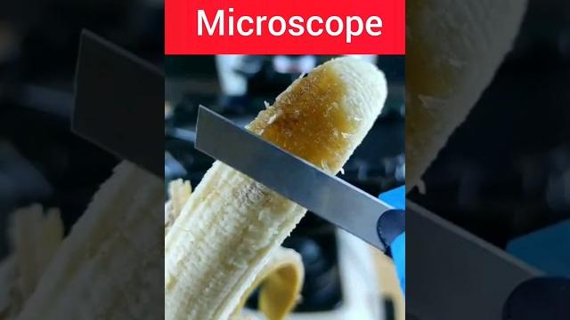 Banana under microscope | banana #banana #bananas Banana under microscope | banana #banana #bananas