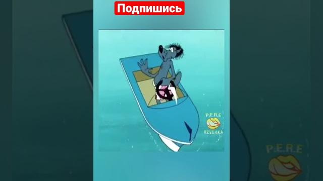 Кукуруза как у тома круза Кукуруза как у тома круза