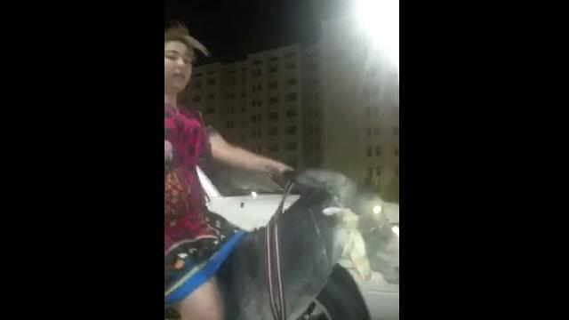 Аруси замонави Аруси замонави