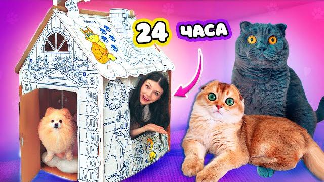 24 часа в доме из картона с питомцами | кот баттерс 24 часа в доме из картона с питомцами | кот баттерс