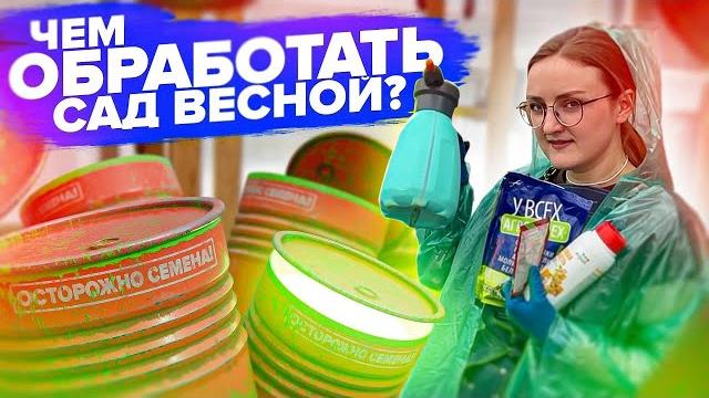 Все обработки сада весной от вредителей и болезней! Все обработки сада весной от вредителей и болезней!
