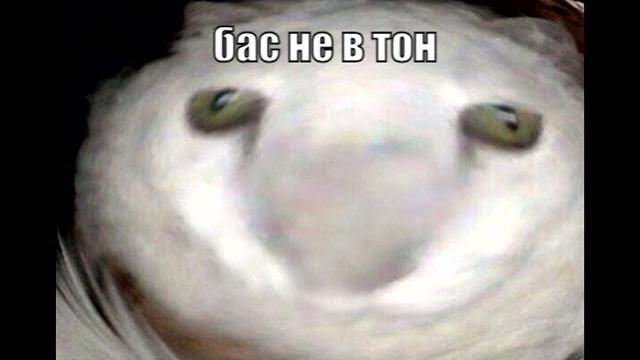 Бас не в тон Бас не в тон