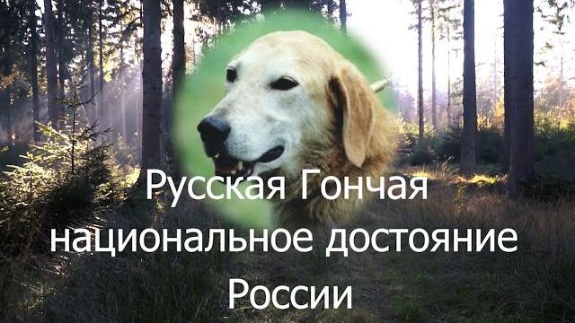 Охота с гончими! Охота с гончими!