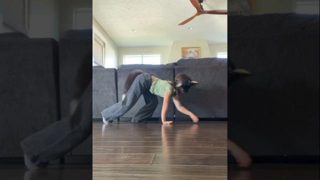 Quad tut! pt.1 {#therian #quadropist #tutorial #quadropics #theriantropy #quads #alterhuman #antizoo Quad tut! pt.1 {#therian #quadropist #tutorial #quadropics #theriantropy #quads #alterhuman #antizoo