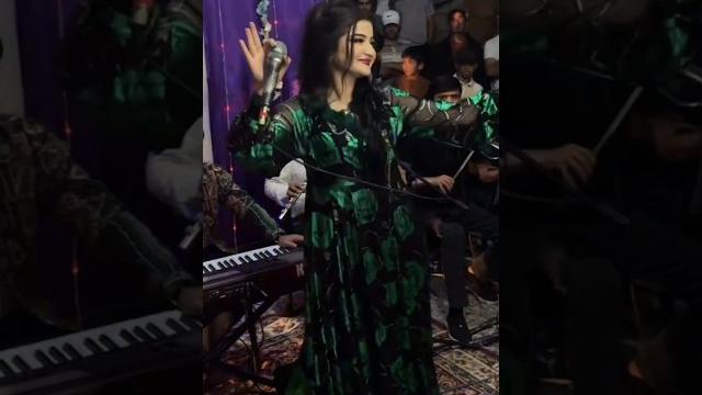 Золушка туйя кафонд Золушка туйя кафонд