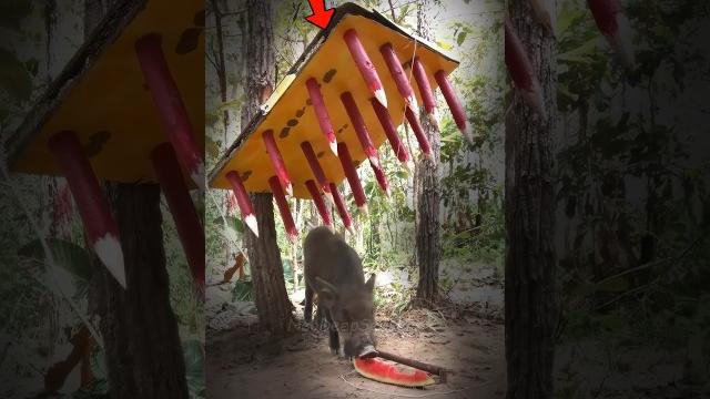 Dangerous trap found on beach! ️ Dangerous trap found on beach! ️
