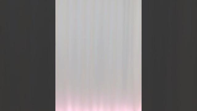 Bj 햄찡 Bj 햄찡