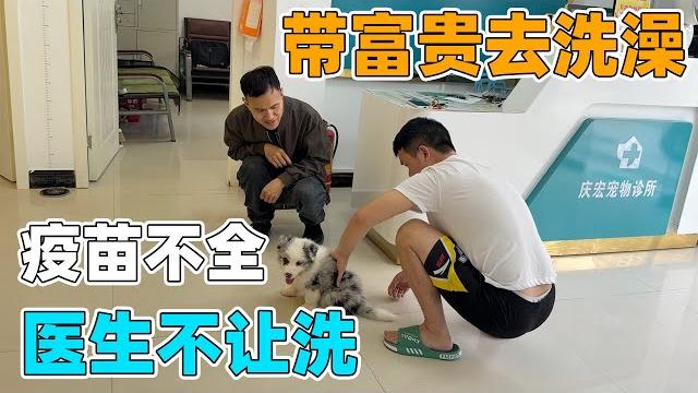 花一千多买的边牧,每天只能关在笼子里,小家伙太可怜了 送去宠物店好好洗一下 花一千多买的边牧,每天只能关在笼子里,小家伙太可怜了 送去宠物店好好洗一下