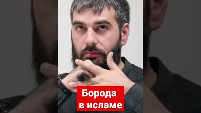 Борода в исламе | 4 мазхаба о бороде Борода в исламе | 4 мазхаба о бороде