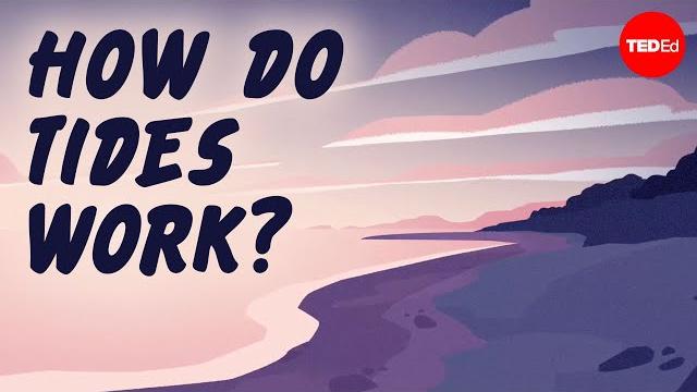 Why are there two tides a day? - elise cutts Why are there two tides a day? - elise cutts