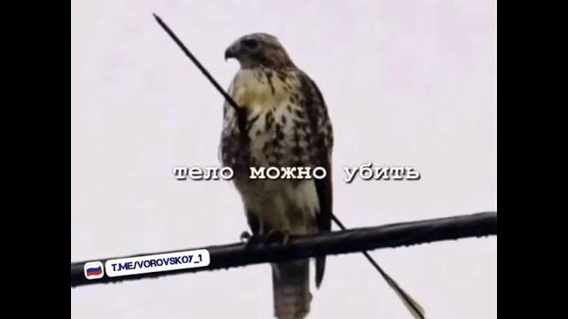 Главный дух Главный дух
