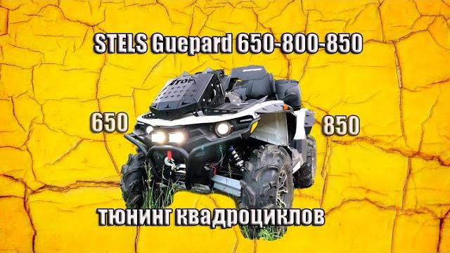 Тюнинг квадроциклов стелс гепард 650 Тюнинг квадроциклов стелс гепард 650