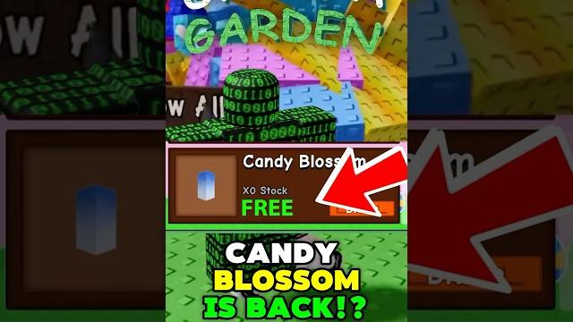 New *get* candy blossom seeds?! (its back) | grow a garden update glitch secret! #growagarden New *get* candy blossom seeds?! (its back) | grow a garden update glitch secret! #growagarden