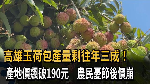 高雄玉荷包產量剩往年三成!產地價飆破190元 農民憂節後價崩-民視新聞 高雄玉荷包產量剩往年三成!產地價飆破190元 農民憂節後價崩-民視新聞