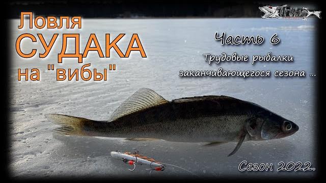 Ловля судака на вибы. часть 6. сезон 2021-22 Ловля судака на вибы. часть 6. сезон 2021-22