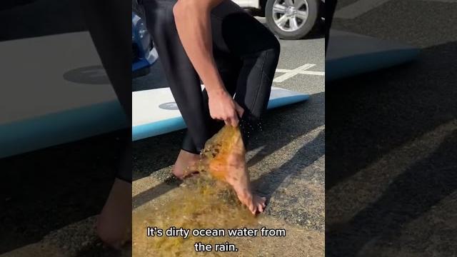 Is there pee in the leg of my wetsuit? Is there pee in the leg of my wetsuit?