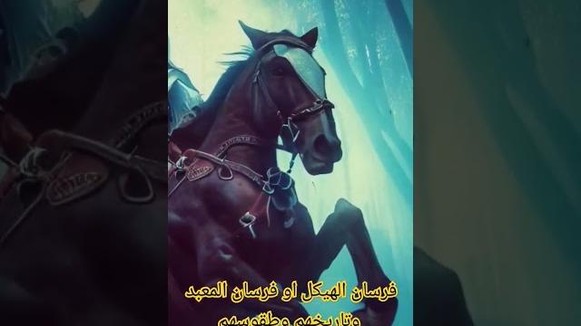 اخر الحملات الصليبية وفرسان المعبد، رحلة عبر الزمن إلى عصر فرسان الهيكل، #وثائقي #فرسان_الهيكل اخر الحملات الصليبية وفرسان المعبد، رحلة عبر الزمن إلى عصر فرسان الهيكل، #وثائقي #فرسان_الهيكل
