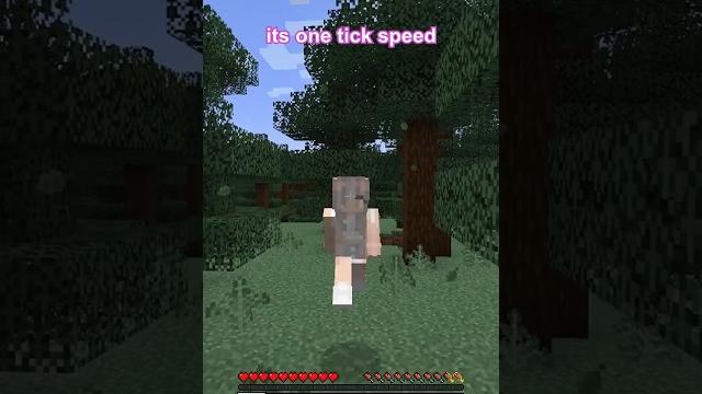 Minecraft but it's super slow Minecraft but it's super slow