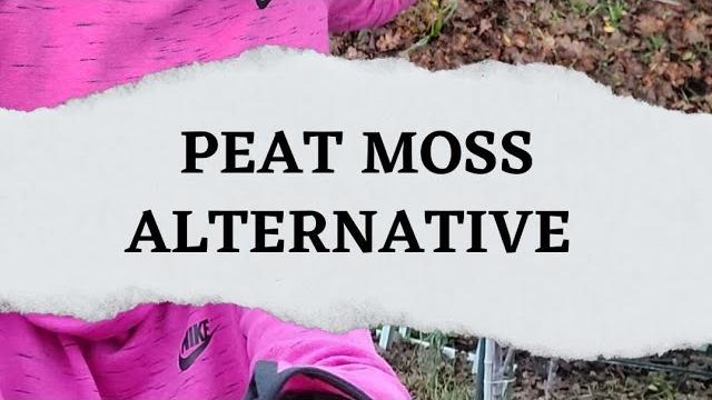 Awesome free peat moss alternative! Awesome free peat moss alternative!