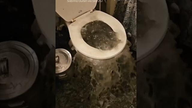 Toilet overflows and floods apartment in ottawa #shorts Toilet overflows and floods apartment in ottawa #shorts