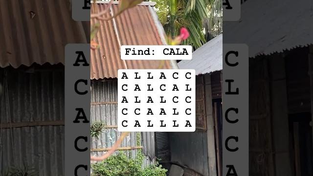 Find: cala Find: cala