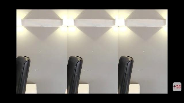 小兔兔 小兔兔