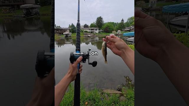 Fishing murky water for big fish Fishing murky water for big fish