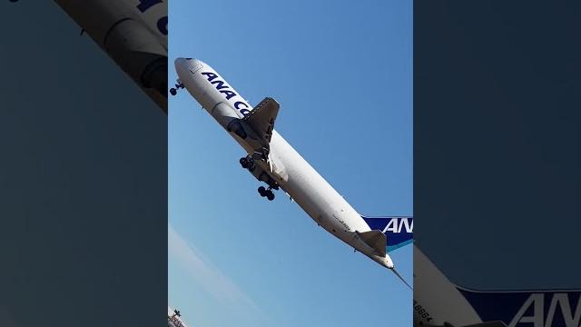 Ana cargo, ana, nrt, japan #成田空港 Ana cargo, ana, nrt, japan #成田空港