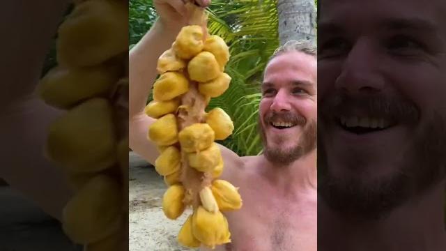 This is the sweetest fruit on earth! This is the sweetest fruit on earth!