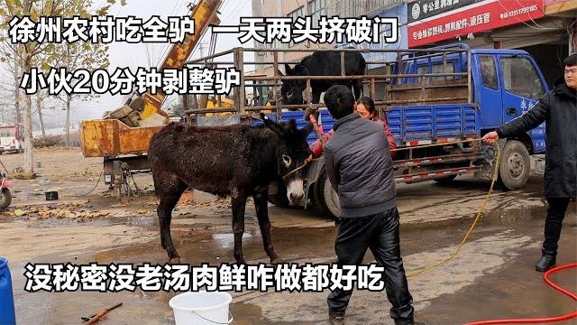 徐州农村吃活驴,一天两头挤破门,现场宰驴像开会,小伙20分钟剥整驴 徐州农村吃活驴,一天两头挤破门,现场宰驴像开会,小伙20分钟剥整驴