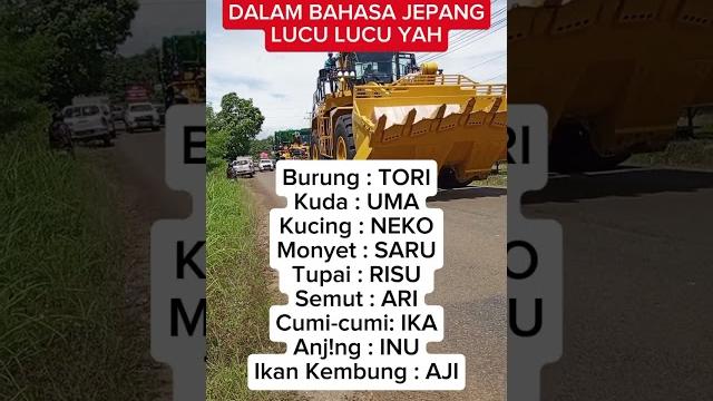 Lucu yah bahasa jepang #trending #shortvideo #shorts #viralvideo #video #jepang #fypシ゚viral #fyp Lucu yah bahasa jepang #trending #shortvideo #shorts #viralvideo #video #jepang #fypシ゚viral #fyp