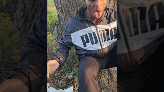 Did he eat poop #shorts #funny Did he eat poop #shorts #funny