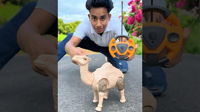 Remote control snake and camel unboxing#shorts Remote control snake and camel unboxing#shorts