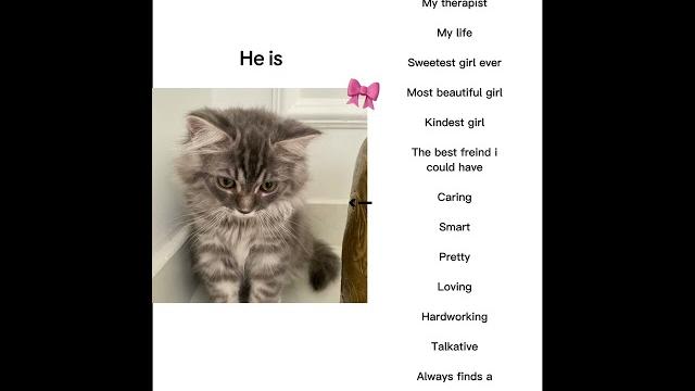 He is babygrey He is babygrey