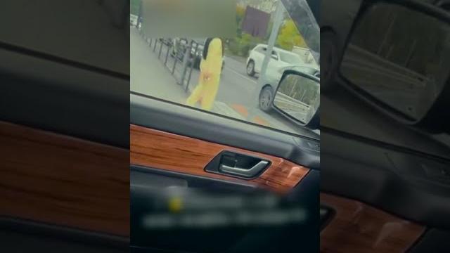 Зачем нужна жена на пассажирском? ️ Зачем нужна жена на пассажирском? ️