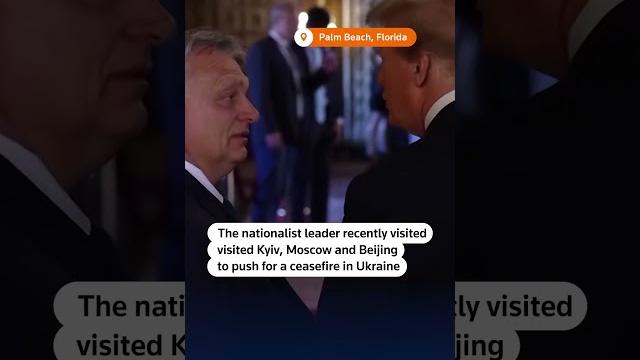 Hungary's orban meets trump in florida Hungary's orban meets trump in florida