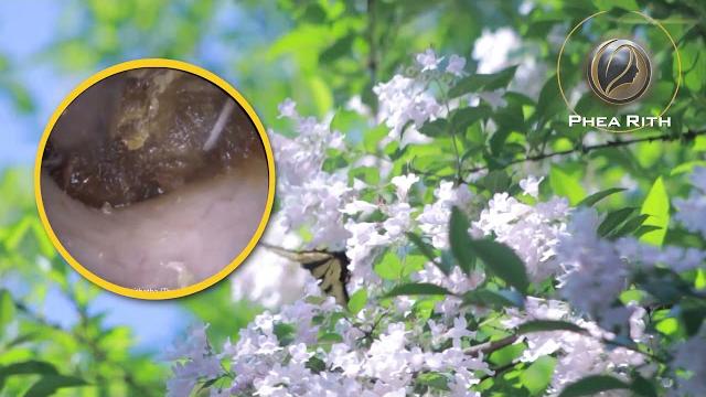 Japan new film semi movies moment hd Japan new film semi movies moment hd