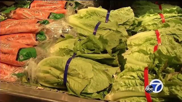 E.coli outbreak is growing E.coli outbreak is growing