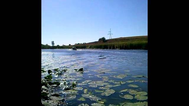 Гибрид и лодка пвх Гибрид и лодка пвх