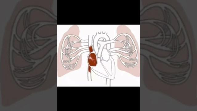 Circulatory system physiology|| how the circulatory system works || animation #cpc #ccs #biology Circulatory system physiology|| how the circulatory system works || animation #cpc #ccs #biology