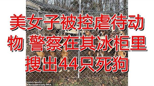美女子被控虐待动物 警察在其冰柜里搜出44只死狗 美女子被控虐待动物 警察在其冰柜里搜出44只死狗